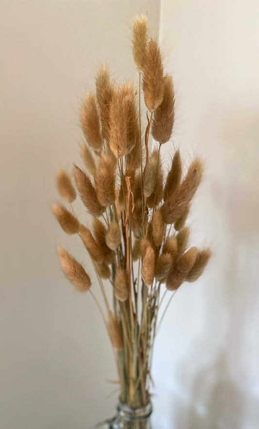 Natural bunny tails