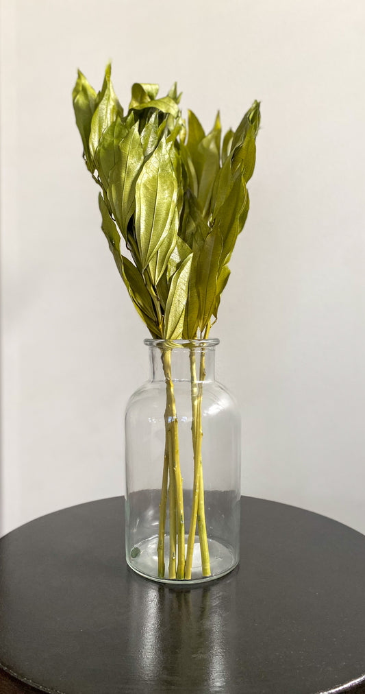 Simple Glass Vase