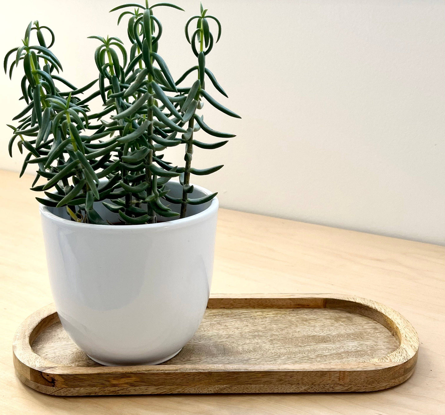 Oval Mango Wood Tray