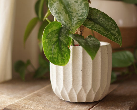 Patterned Concrete Plant Pot