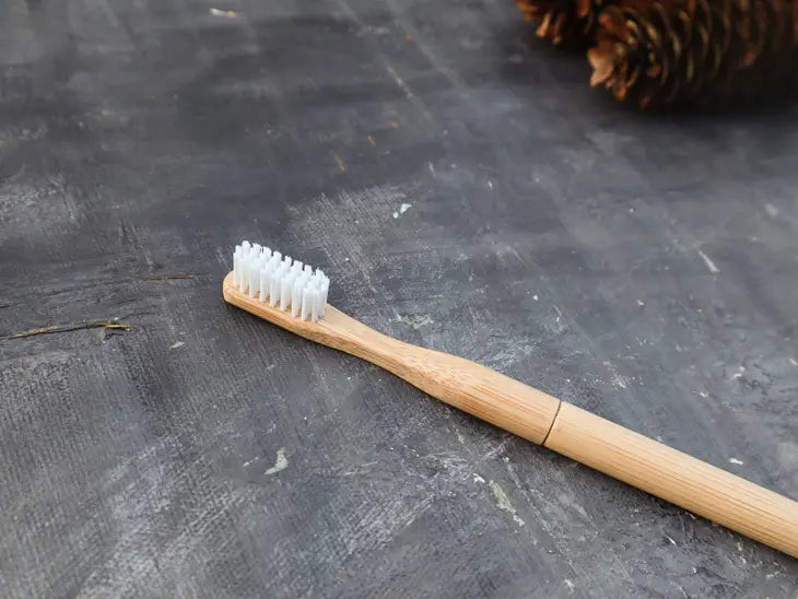 Refillable Bamboo Toothbrush