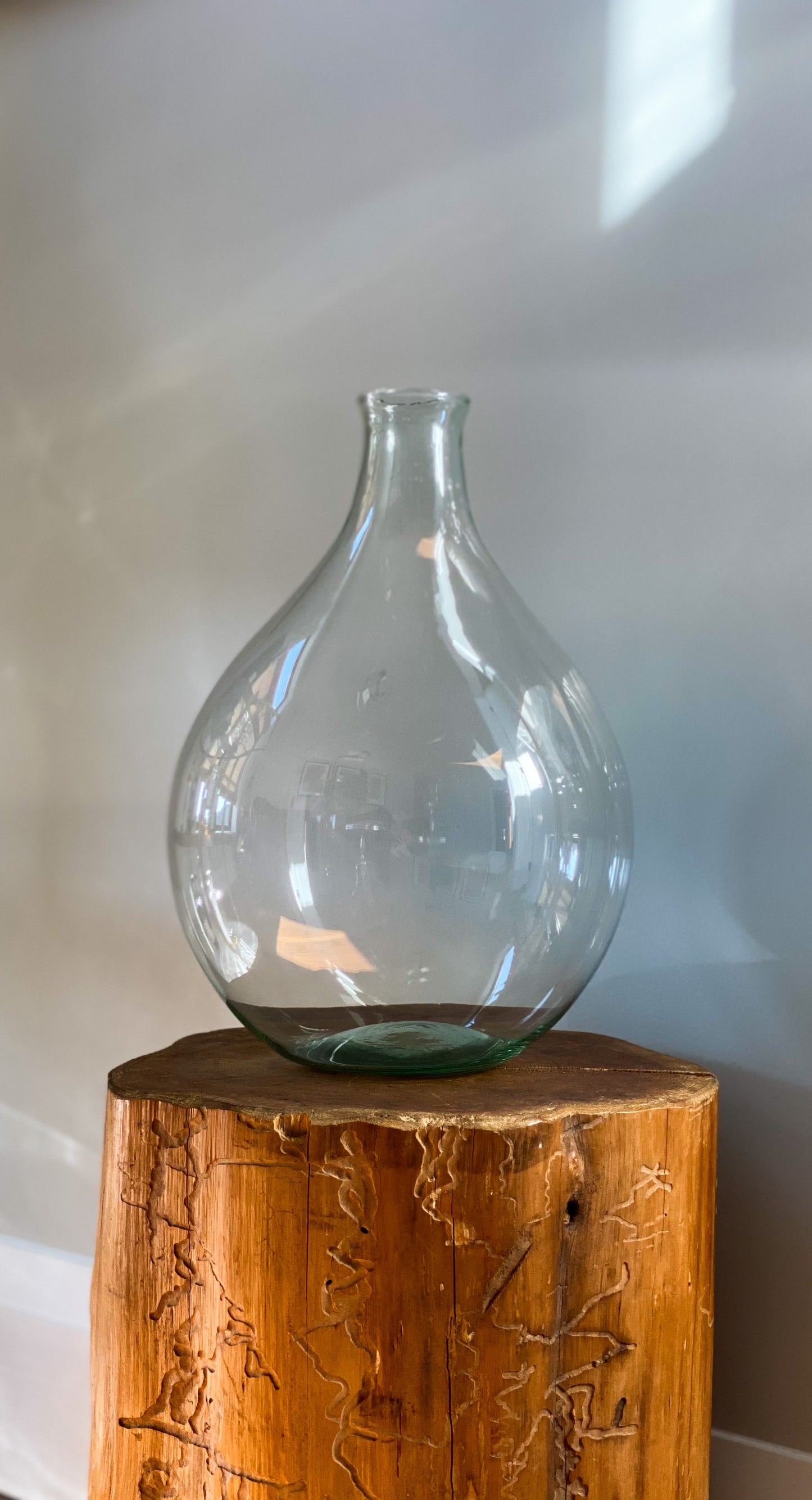 Tall Glass bottle vase