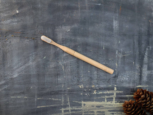 Refillable Bamboo Toothbrush