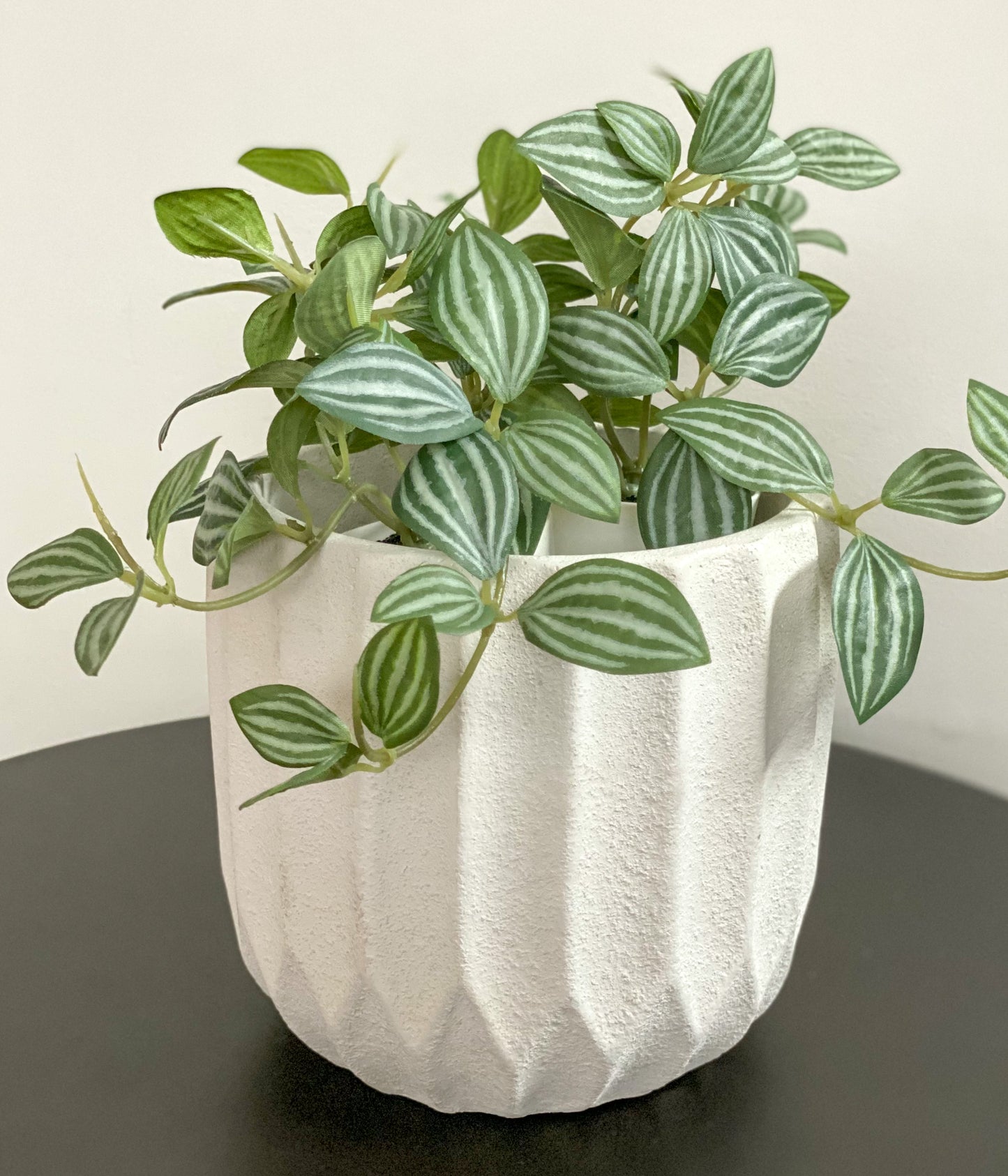 Patterned Concrete Plant Pot