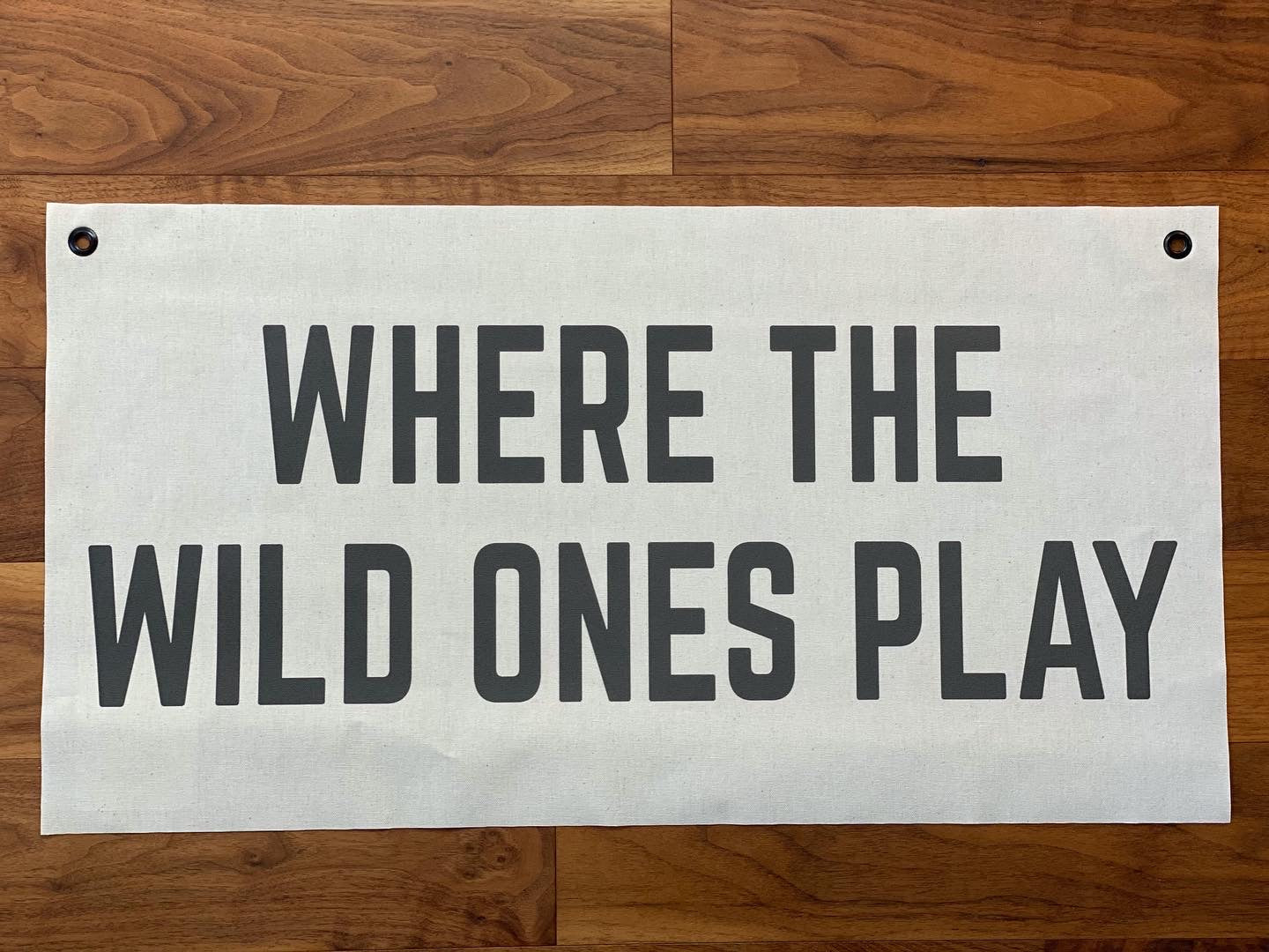 Where The Wild Ones Play Banner