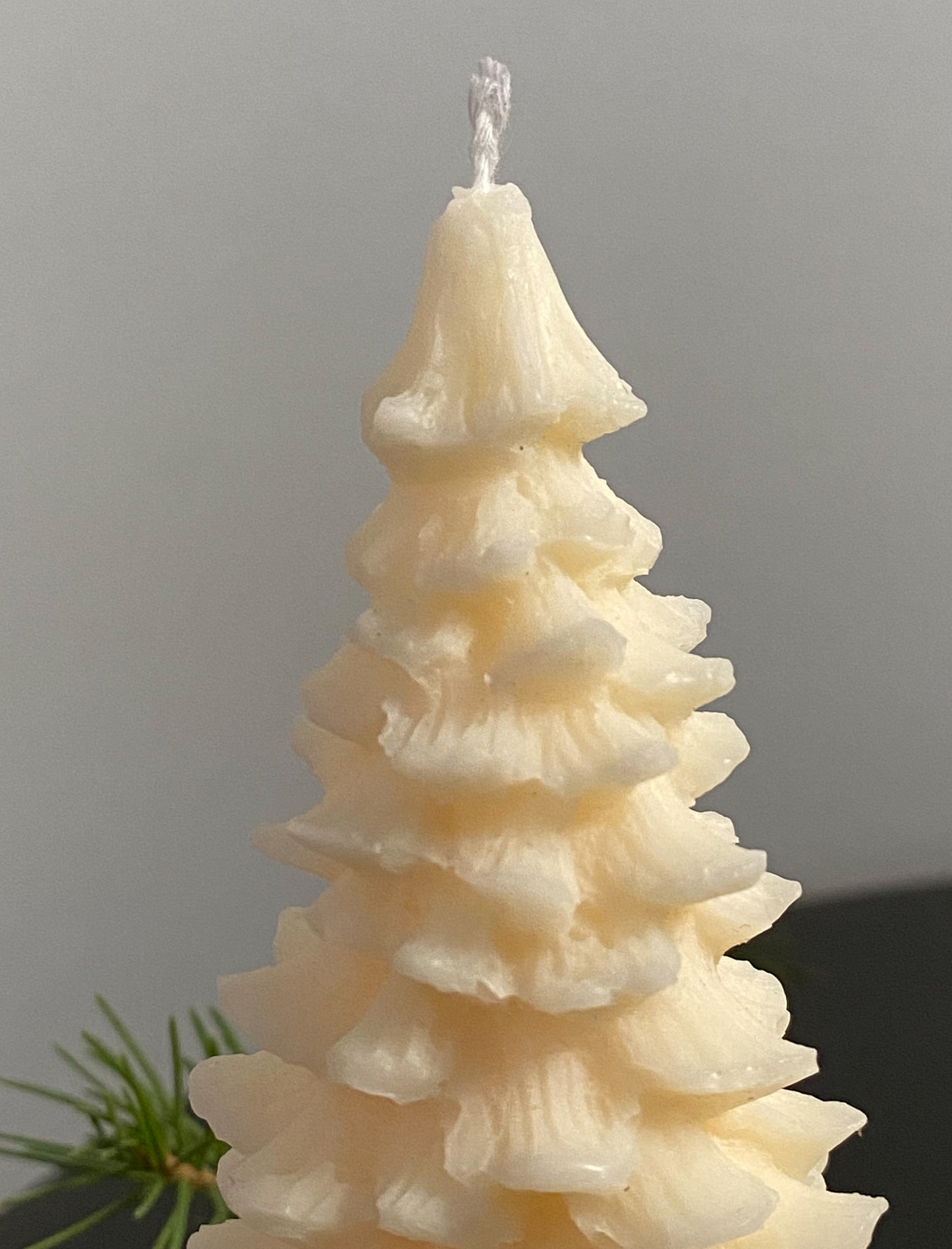 Pine Tree Candle