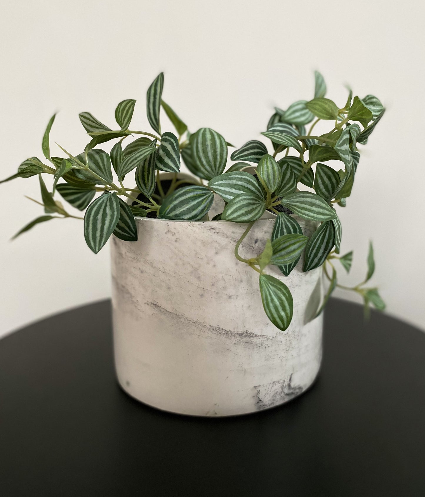 Marbled Concrete Pot