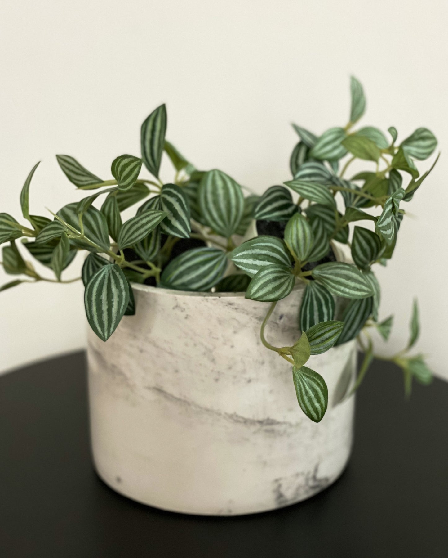 Marbled Concrete Pot